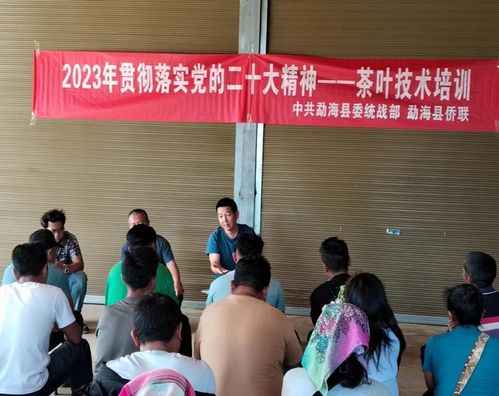 为侨服务 勐海县举办茶树资源技术管理与保护培训班及劳动技能培训
