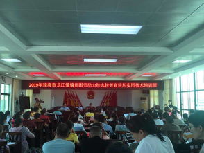龙江镇举办琼海市贫困劳动力扶志扶智及实用技术培训班，为乡村振兴注入新动能