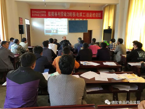 德宏州食药监局赴挂钩村举办劳动技能培训 助力就业与增收